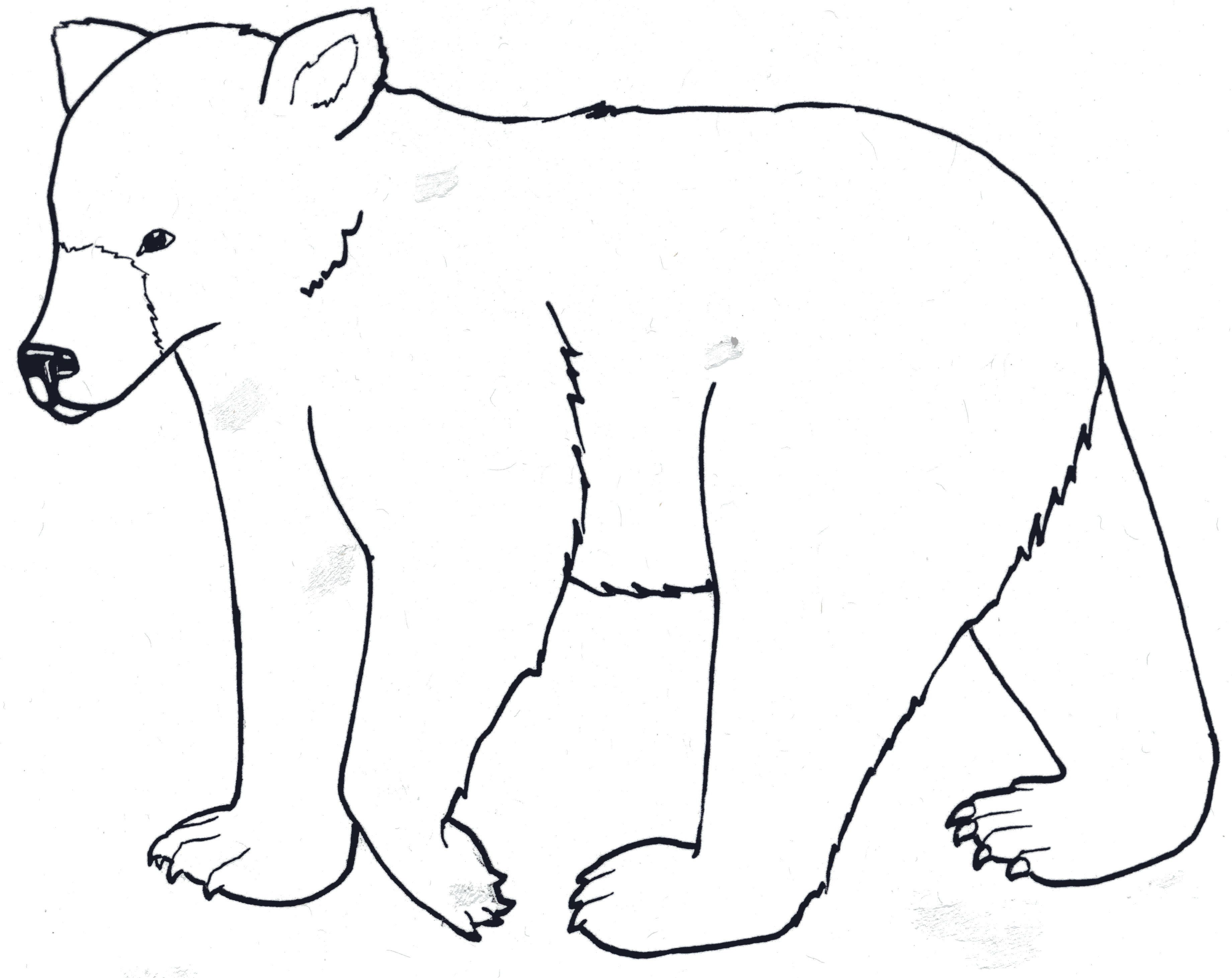 black bear coloring pages - get domain pictures - getdomainvids