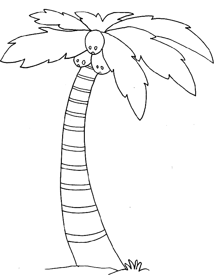 colour in palm tree - Clip Art Library