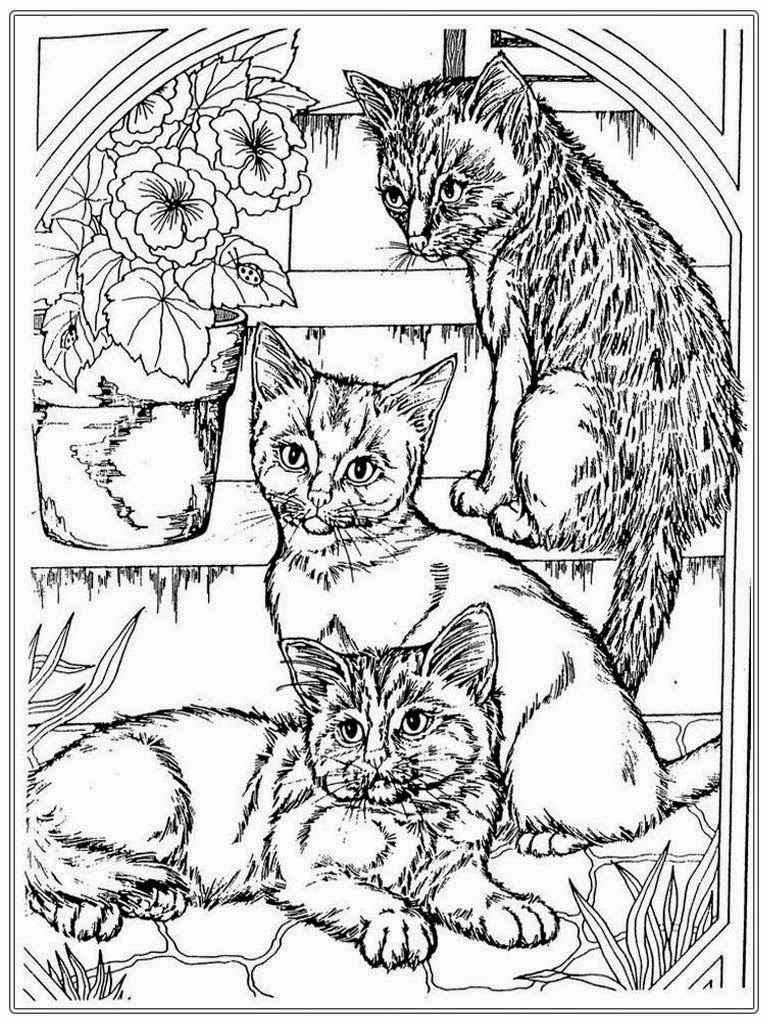 Coloring Pages Of Realistic Cats