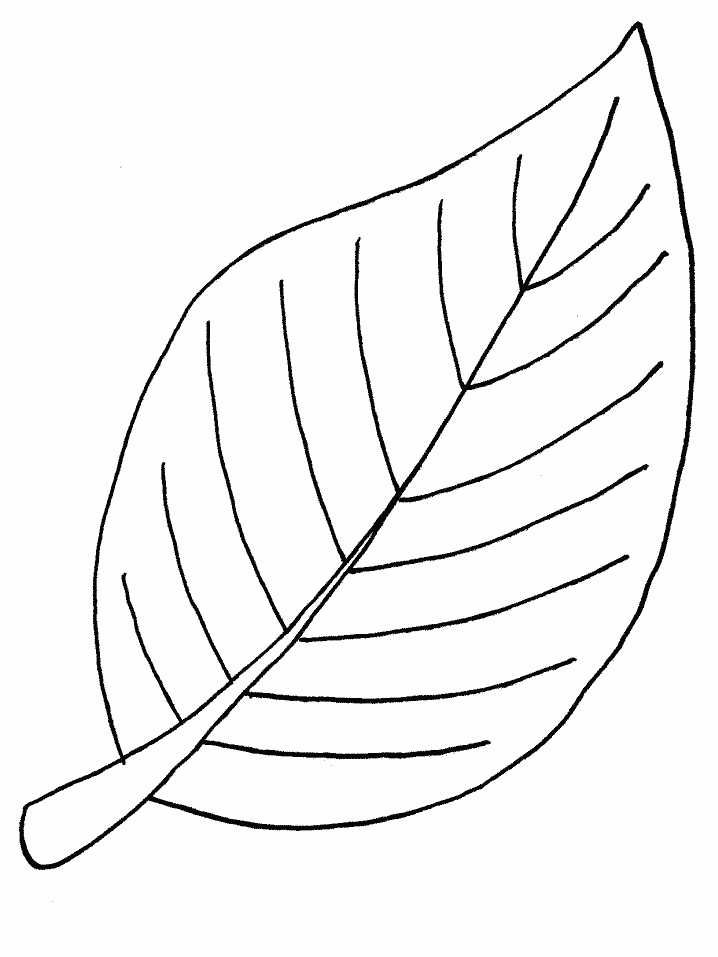 Palm Leaf Outline Coloring Page - Palm Leaf