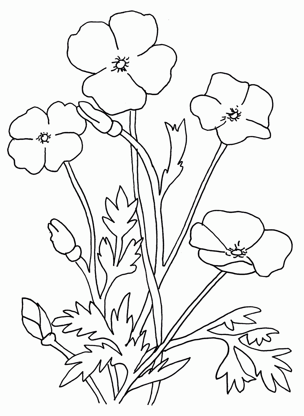 Free Coloring Pages Poppy Flower, Download Free Coloring Pages ...