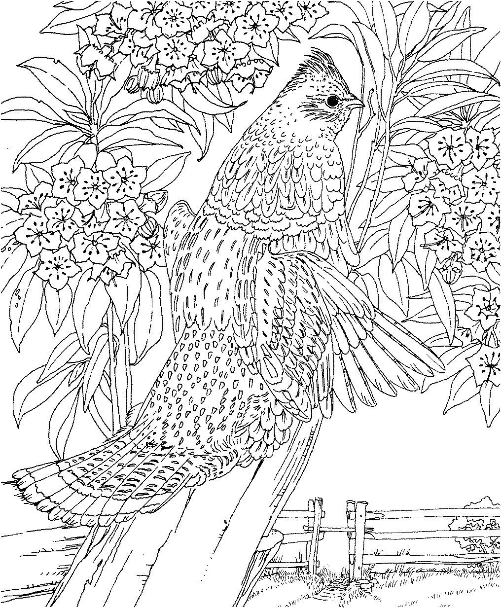 Coloring Pages Heavenly Hard Coloring Pages Kids Difficult