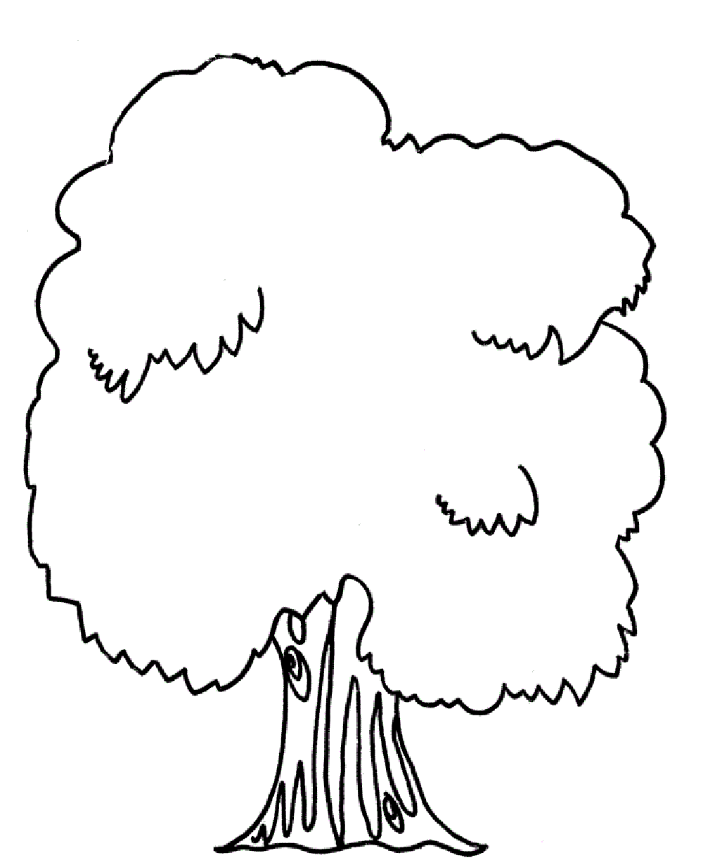 tree coloring pages for kindergarten - Clip Art Library