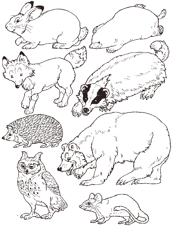 Put the Animals in the Mitten - The Mitten Coloring Page