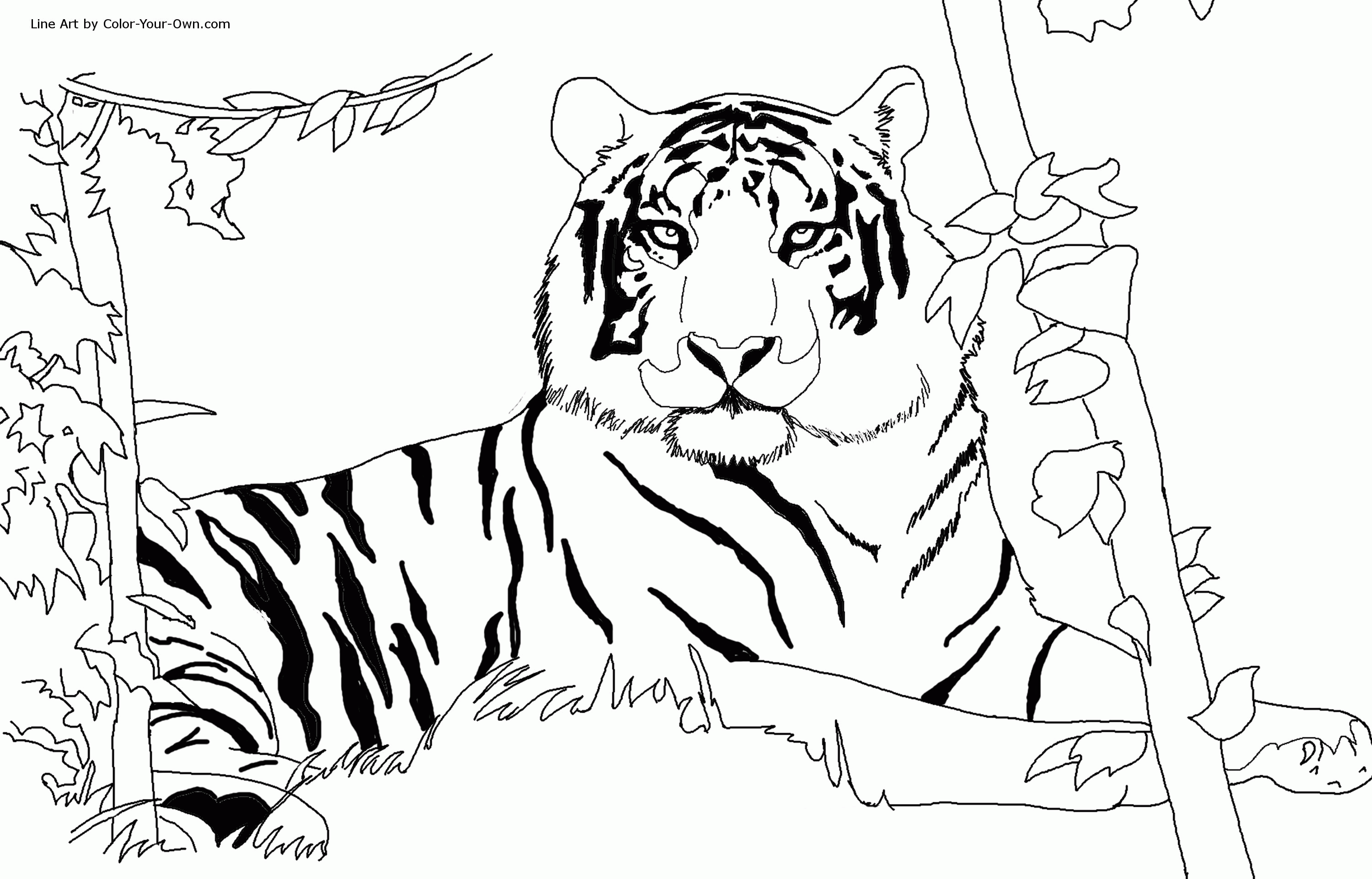 free-tiger-coloring-pages-free-download-free-tiger-coloring-pages-free