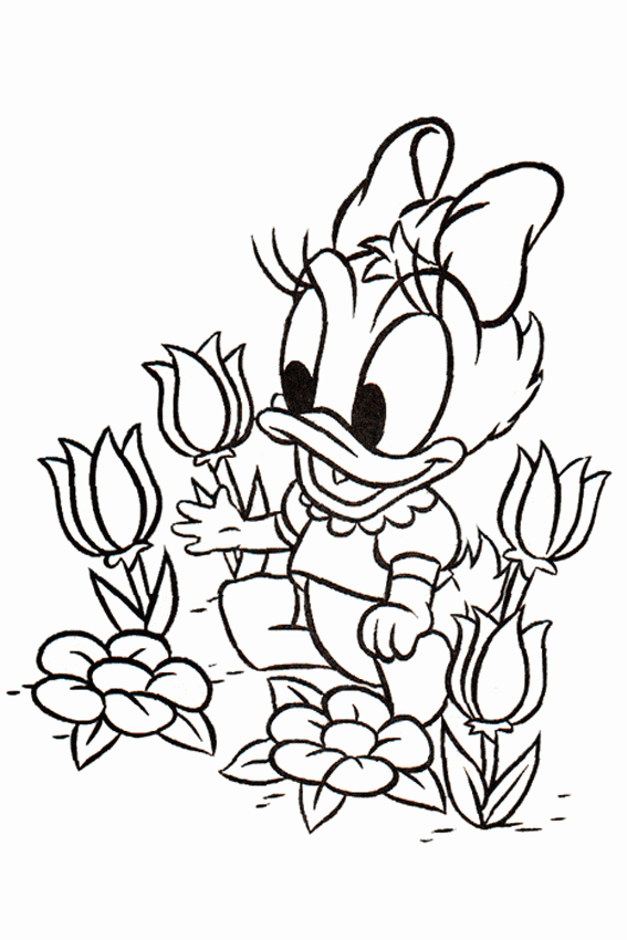 Baby Daisy Duck Coloring Pages 