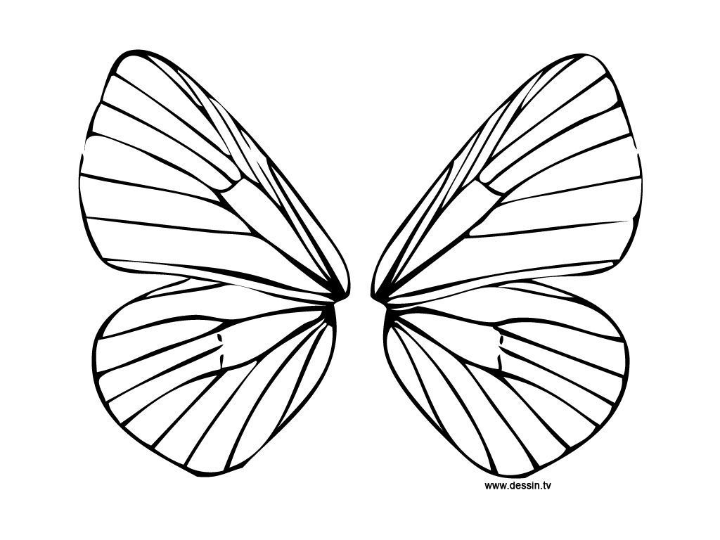 Butterfly Wing Printable Coloring Pages | Coloring Pages For All Ages