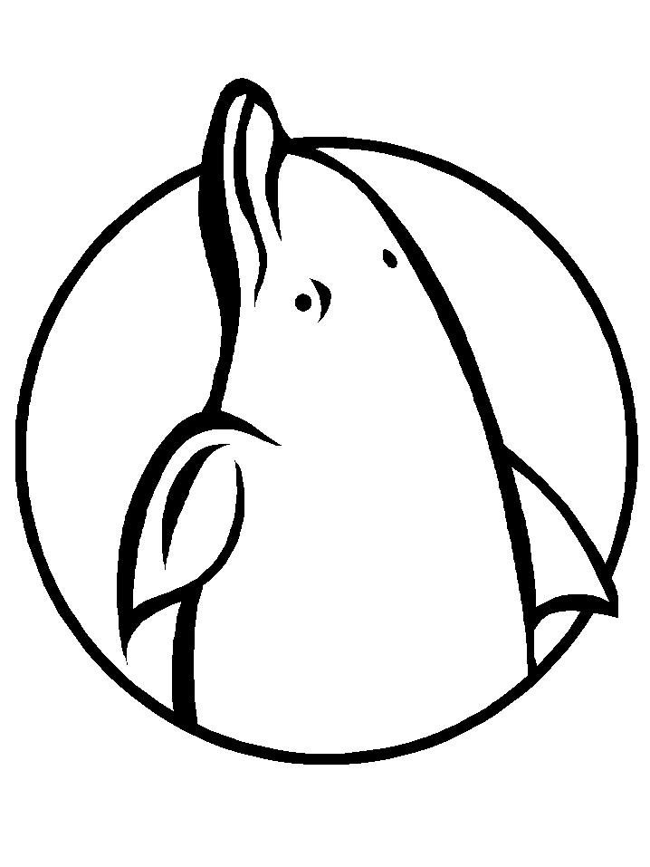 Dolphin Coloring Page | Coloring Pages To Print