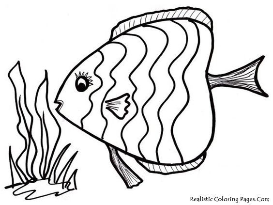 Coloring pages, Coloring and Fish