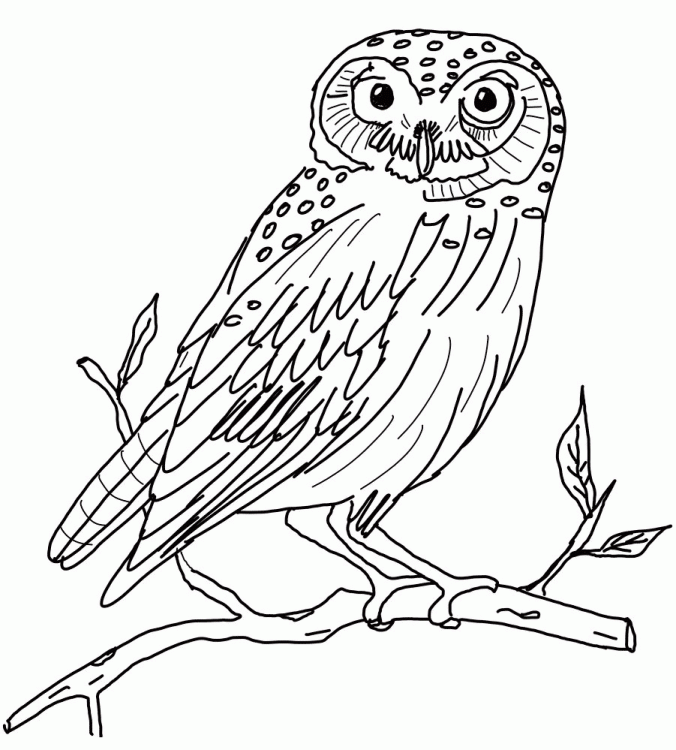 Free Coloring Pages Owls | Printable 
