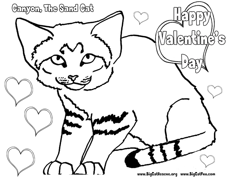 valentines-sand-cat
