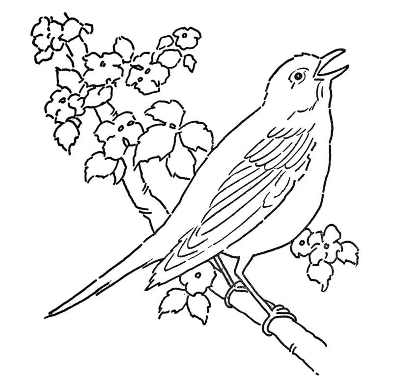 Coloring Pages Flowers And Birds State Birds And Flowers Coloring