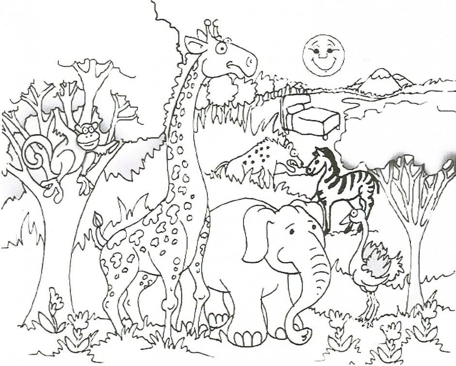 safari-animals-colouring-pages-clip-art-library