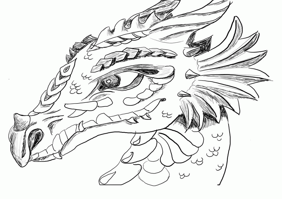 Free Realistic Dragon Coloring Pages For Adults Download Free 