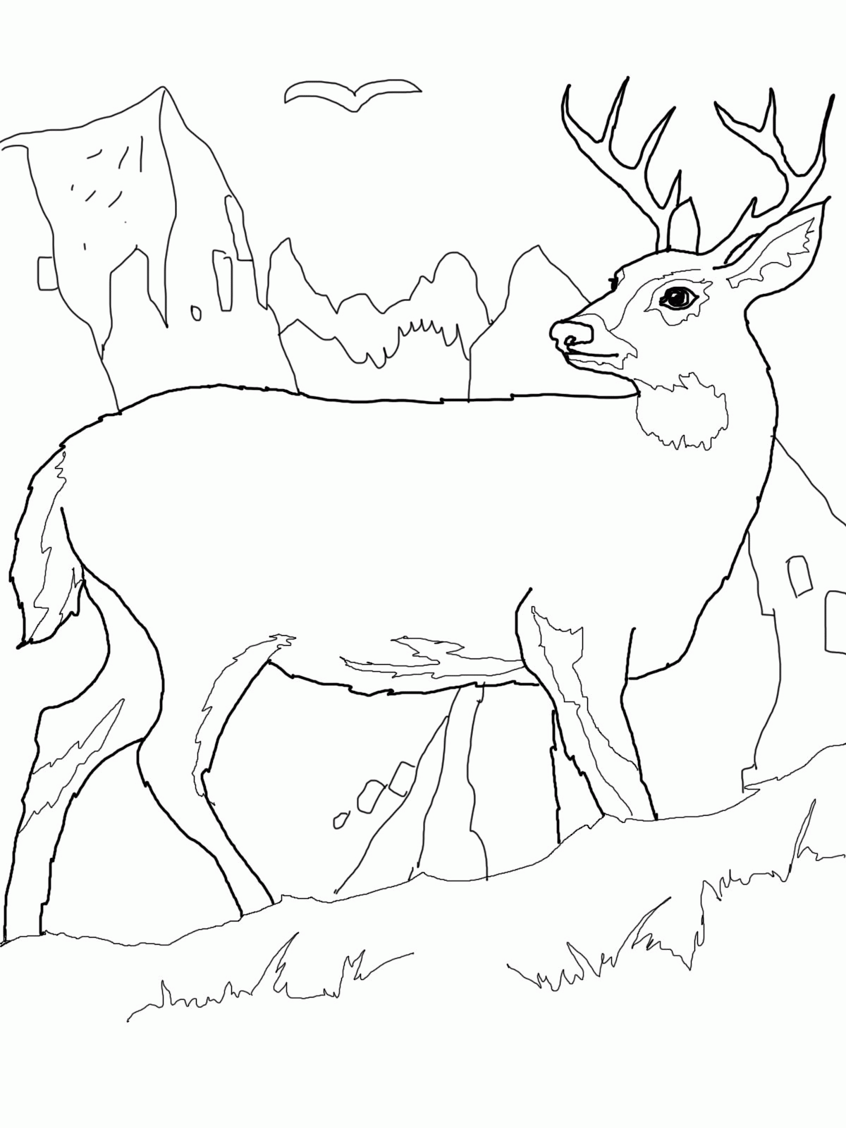 free-deer-coloring-pages-printable-download-free-deer-coloring-pages