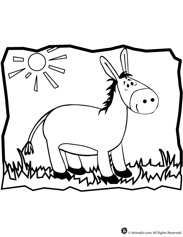 cartoon baby mule Colouring Pages