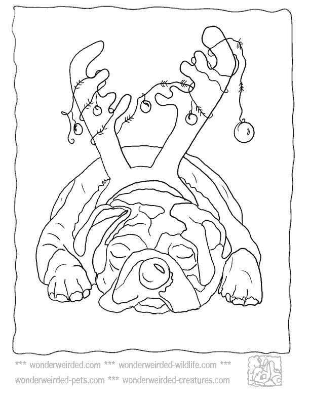 halloween coloring page sheets color