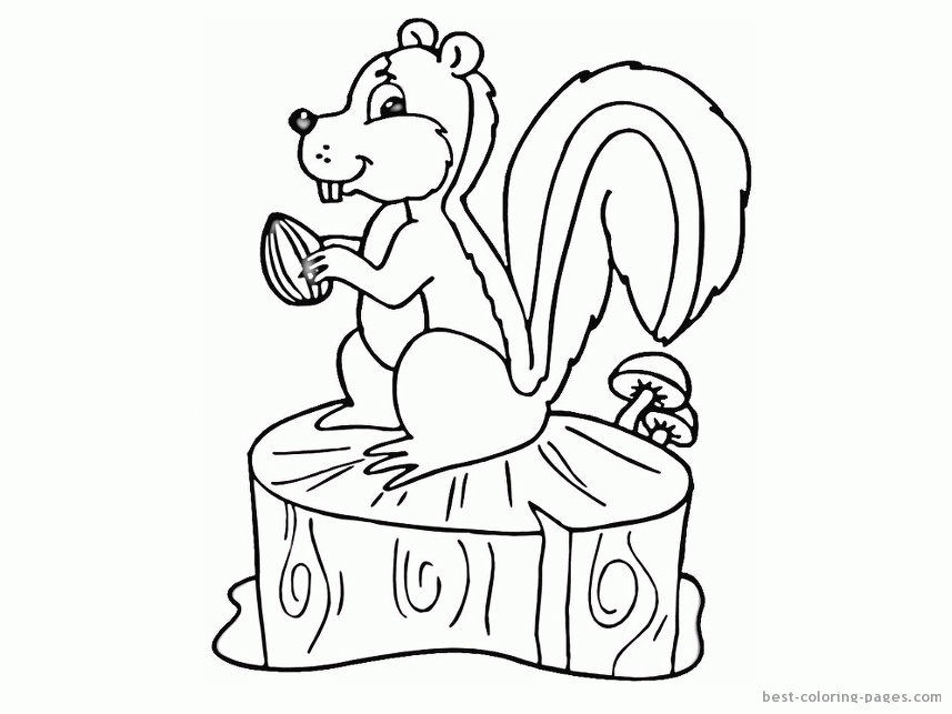 Squirrels coloring pages | Best Coloring Pages - Free coloring