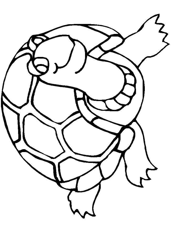 Pix For  Turtles Coloring Pages