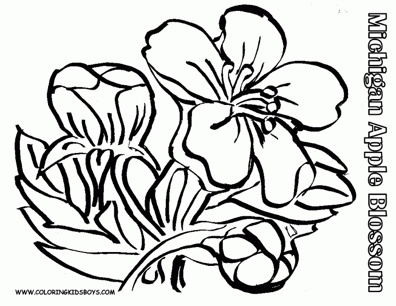 Black And White Flower Coloring Pages | Top Coloring Pages