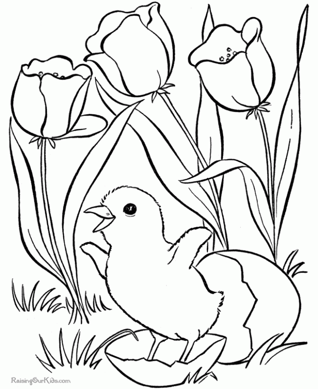 Free Online Coloring Page | Printable Coloring Pages