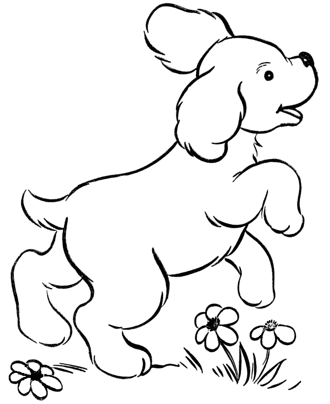 Coloring Pages Of Mermaids And Dolphins | Animal Coloring Pages