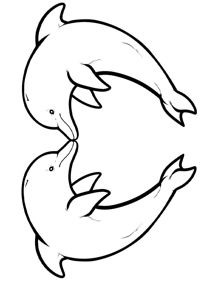 Dolphin Coloring Pages 