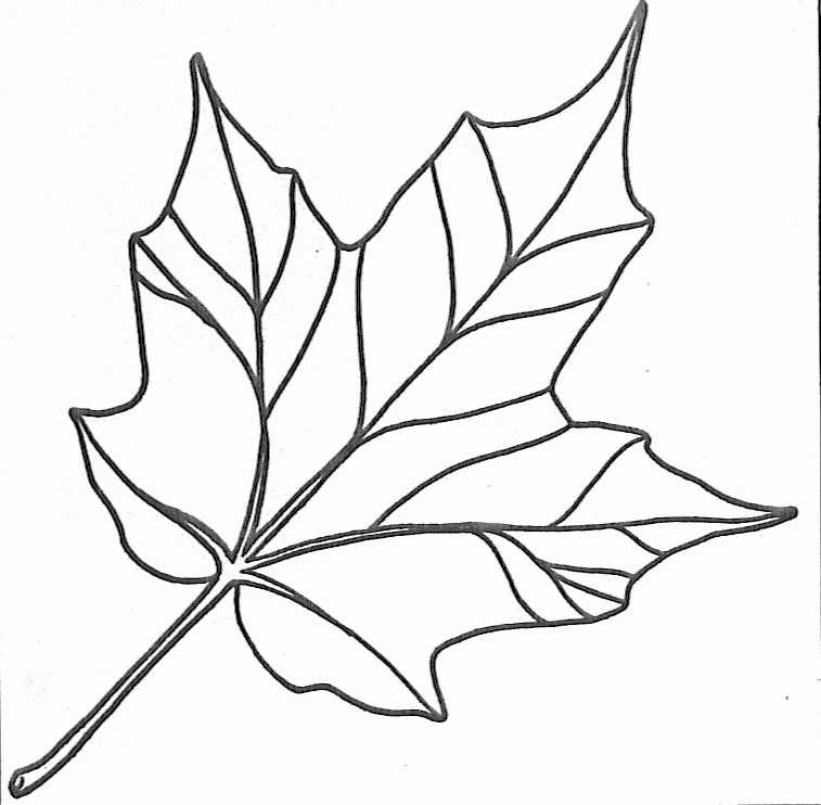 Free Printable Leaf Pictures Download Free Printable Leaf Pictures Png