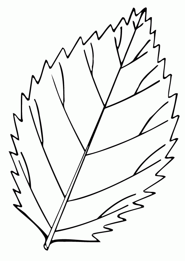 free-printable-leaf-coloring-pages-download-free-printable-leaf