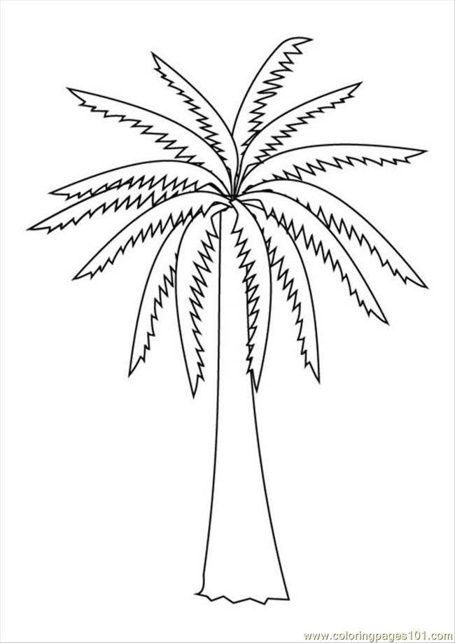 Coloring Pages S Pages Photo Palm Tree P9879 (Natural World