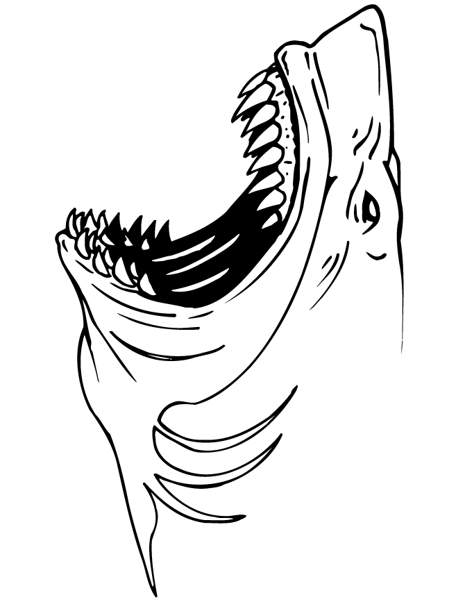 free-free-shark-coloring-pages-to-print-download-free-free-shark