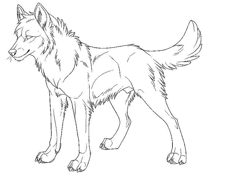 free-realistic-wolf-coloring-pages-to-print-download-free-realistic
