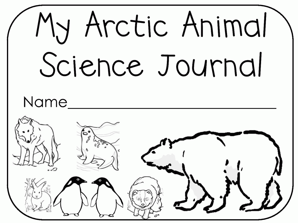 Free Printable Arctic Animals Coloring Pages - High Quality