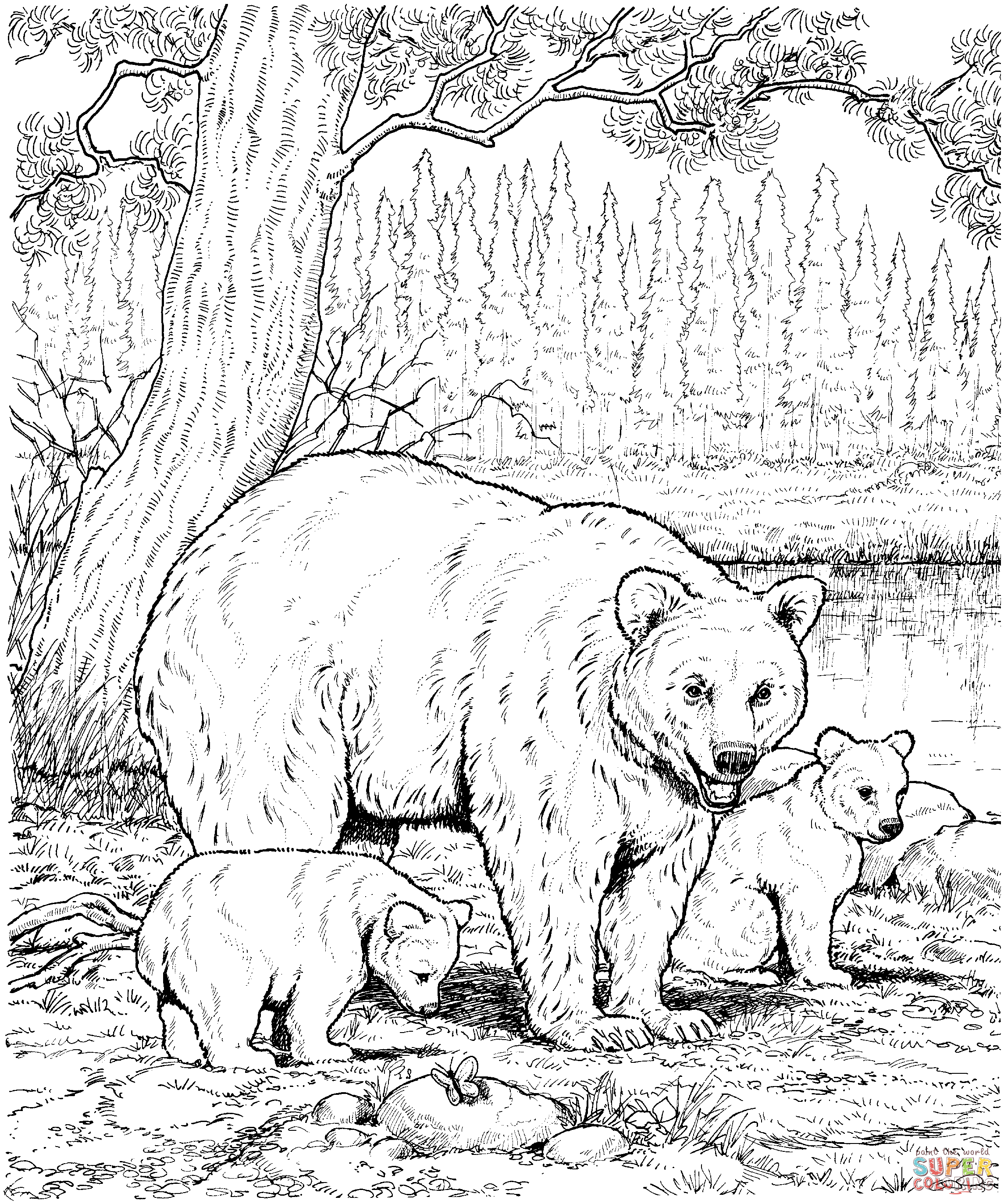 Free Free Woodland Creature Coloring Pages Download Free Free Woodland Creature Coloring Pages 