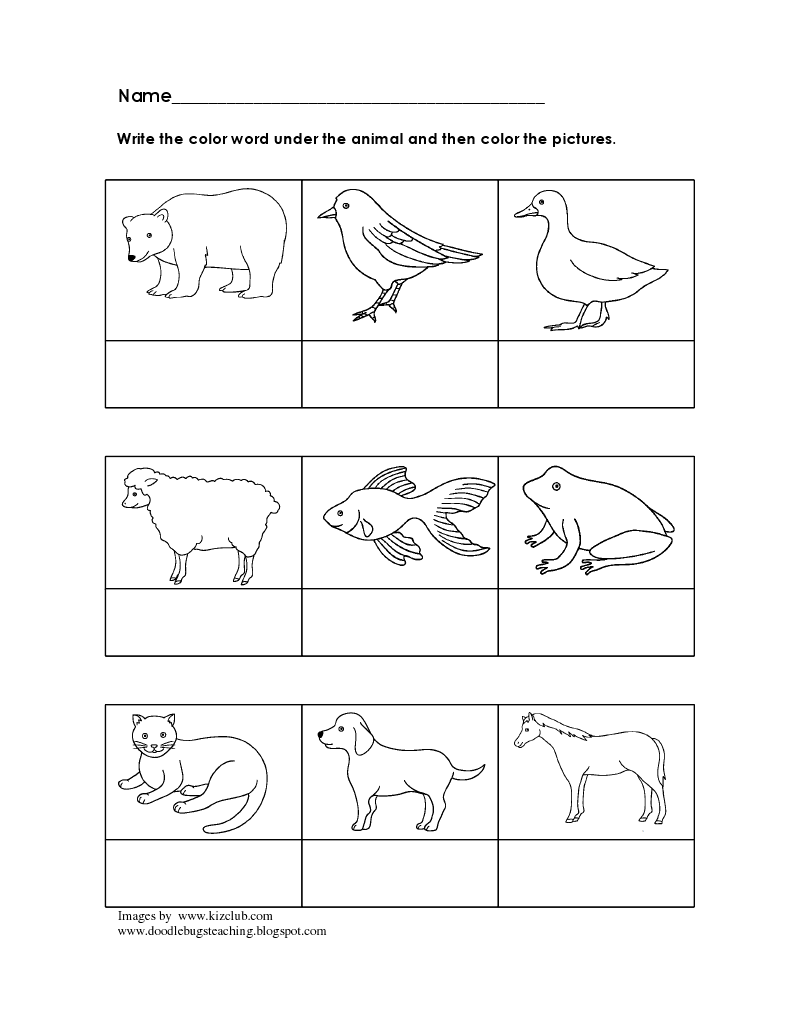 Free Brown Bear Brown Bear What Do You See Coloring Pages Download