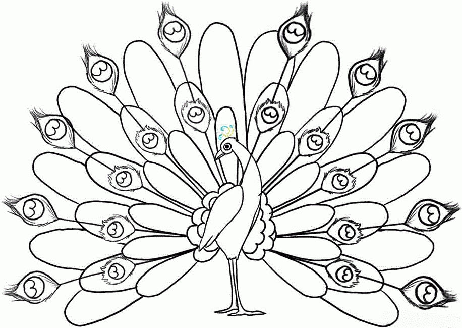 Peacock Coloring Pages Clip Art Library
