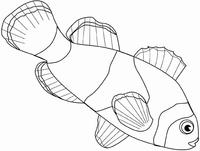 Fish Template | Free