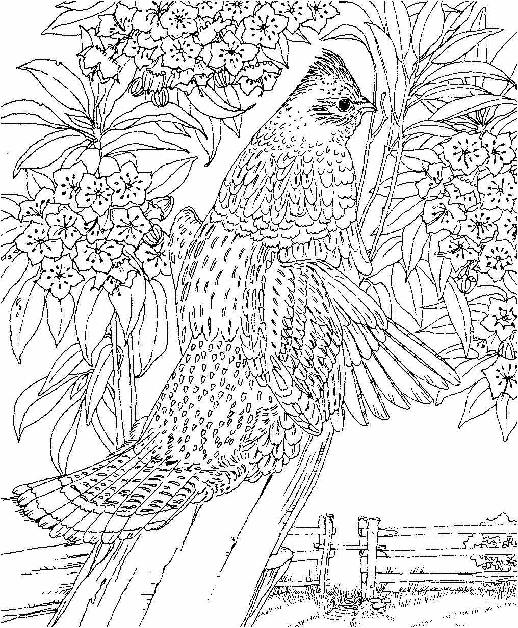 Featured image of post Scenery Coloring Pages For Adults Pdf : Decorate for christmas with december&#039;s colorable calendar.
