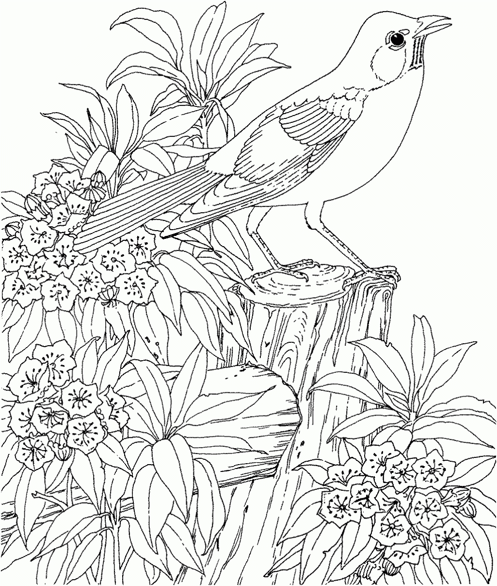 Featured image of post Nature Coloring Pages For Adults - Coloring books aren&#039;t just for kids: