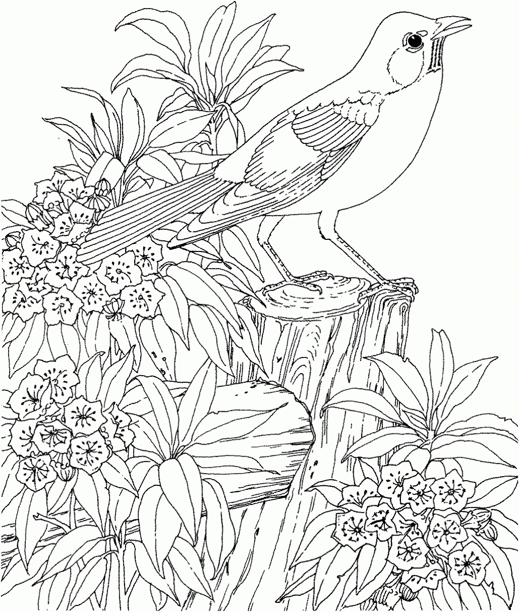 Free Coloring Pages For Adults Nature Download Free Clip Art Free Clip Art On Clipart Library