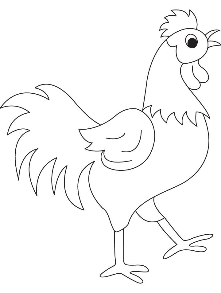 Beautyful rooster coloring page | Download Free Beautyful rooster