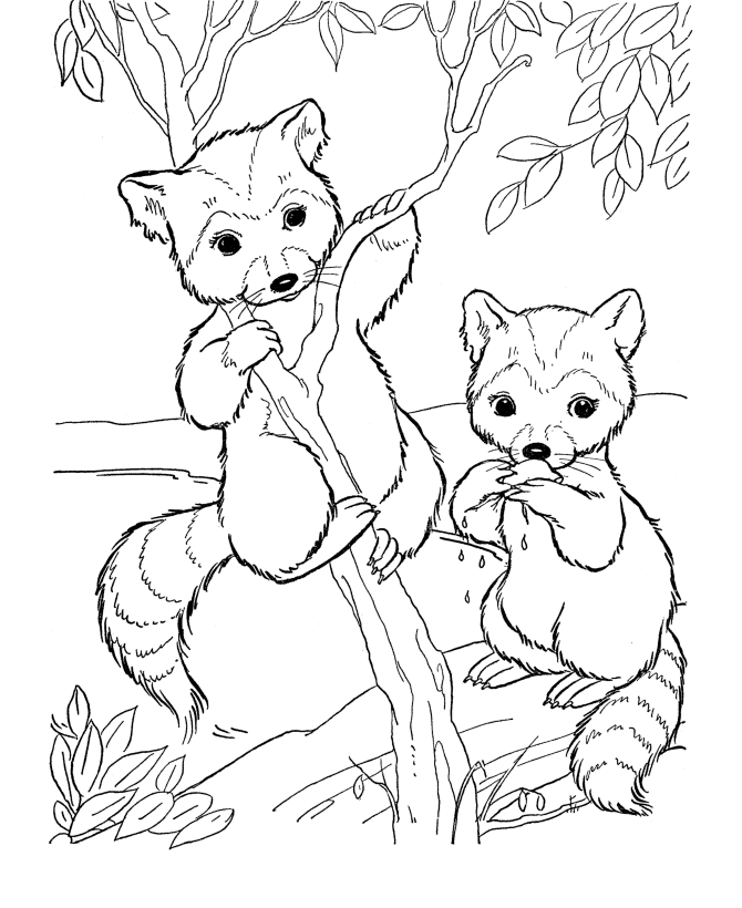 Baby Animals Coloring Pages | Pins