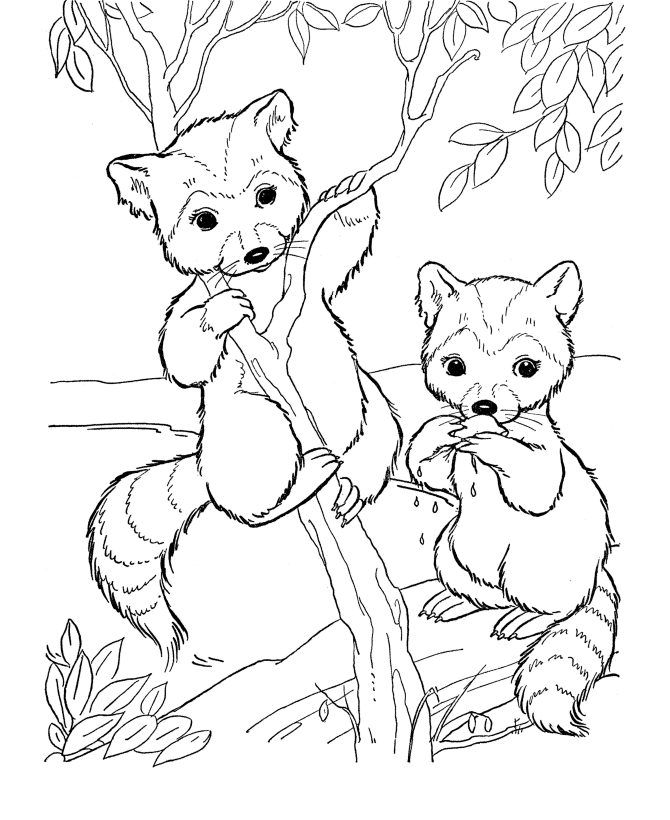 free-wild-animals-coloring-pages-download-free-wild-animals-coloring-pages-png-images-free