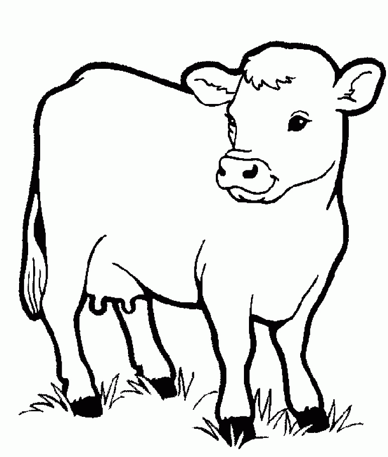 Download Little Cow Preschool Coloring Pages Farm Animals Or Print