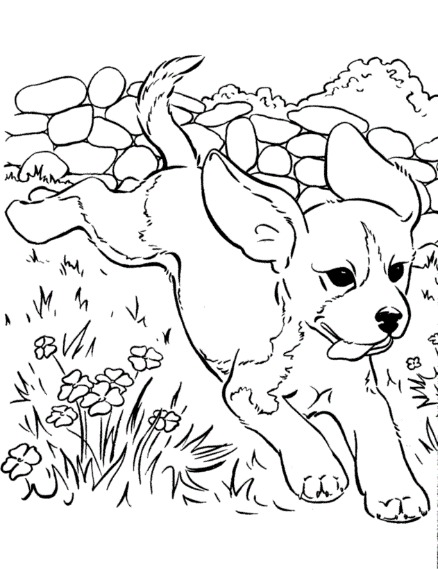 Boy Running With His Dog Coloring Page | Kids Coloring Page