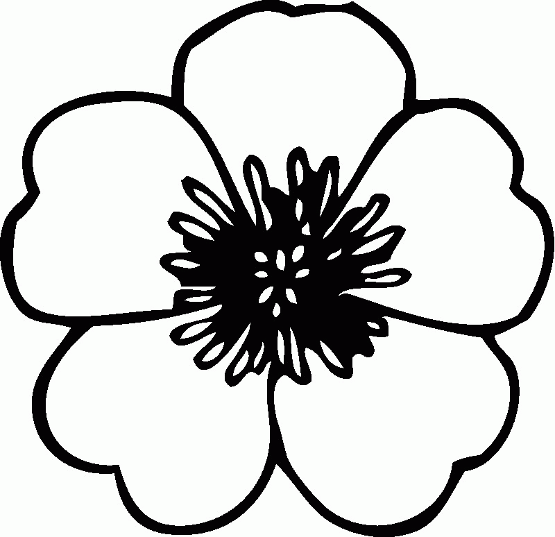 Free Printable Flower Pictures To Color Download Free Printable Flower
