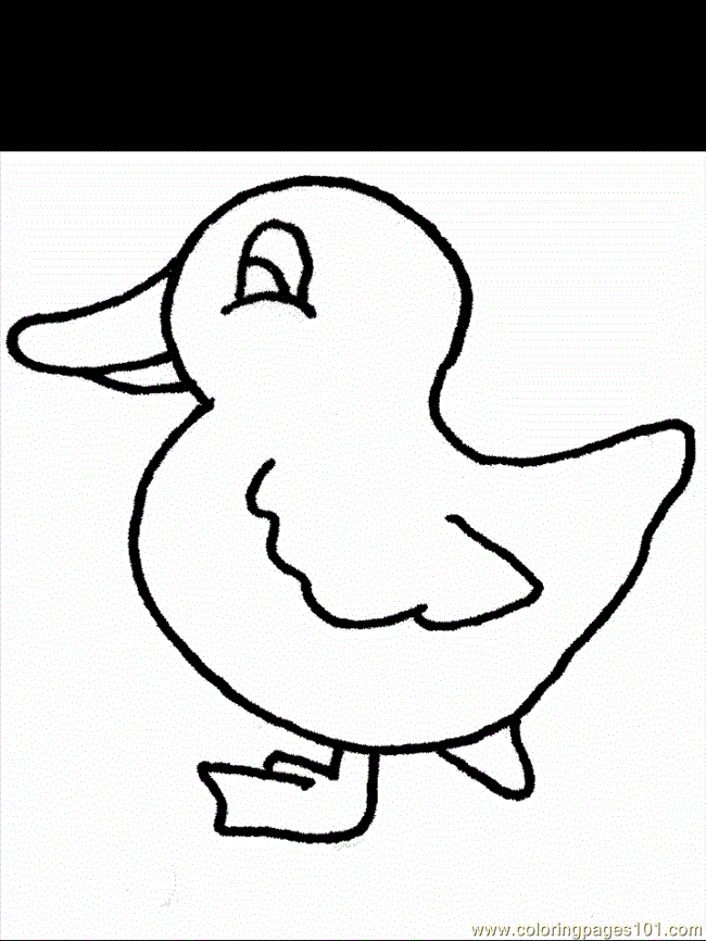 Coloring Pages Coloring Pages Duck8 (Birds  Ducks)| free printable