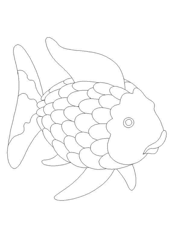 Fish Template |Clipart Library