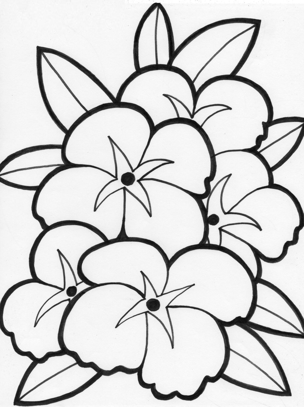 free coloring pages of flower 8 petals |Free coloring on Clipart Library