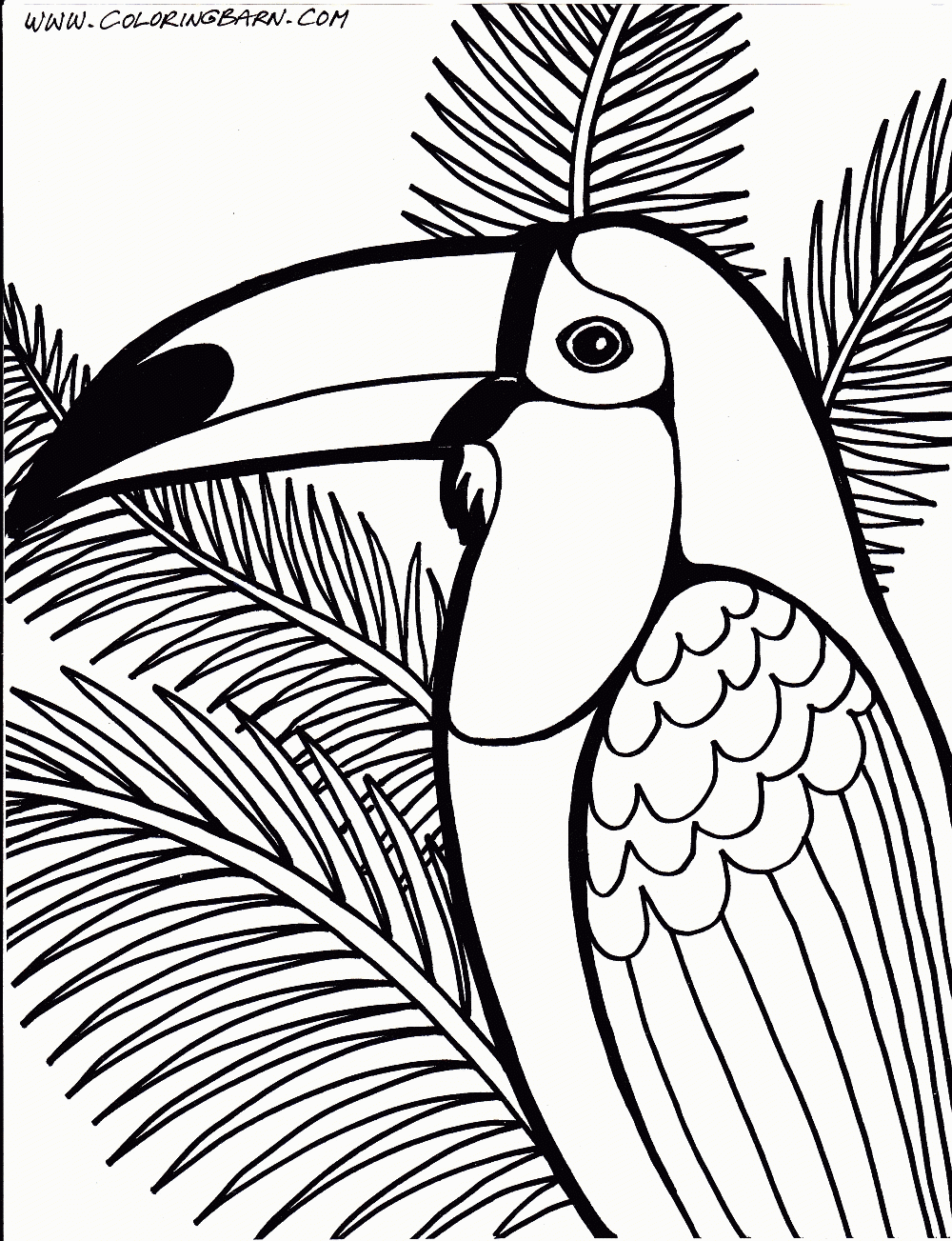Free Rainforest Animals Coloring Pages Free Download Free Rainforest Animals Coloring Pages Free Png Images Free Cliparts On Clipart Library